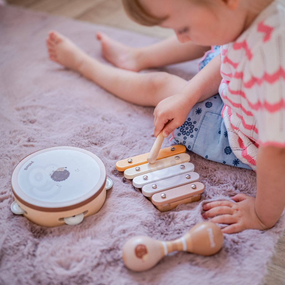 VIGA PolarB medinių muzikos instrumentų rinkinys „Ežiukas“