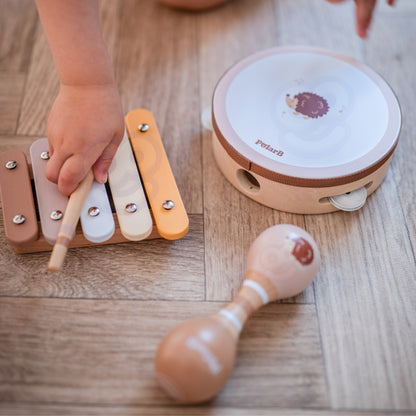 VIGA PolarB medinių muzikos instrumentų rinkinys „Ežiukas“