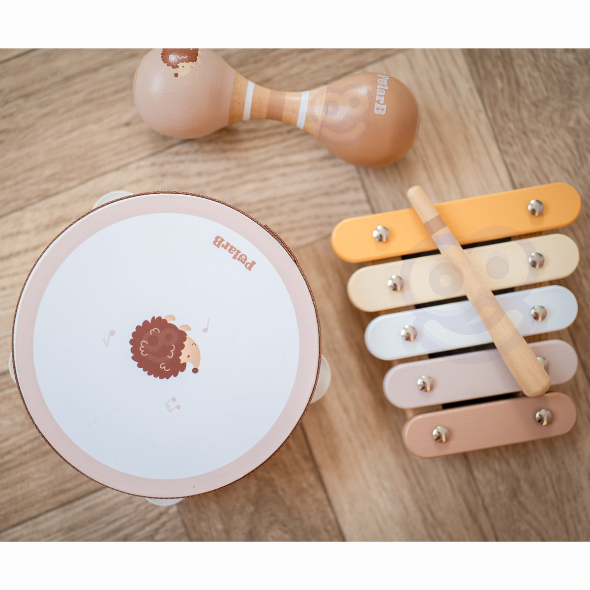 VIGA PolarB medinių muzikos instrumentų rinkinys „Ežiukas“
